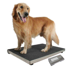 Electronic Veterinary Scale; 400 lb Capacity VS2400 – Charder Scales